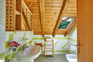 Shower, hair dryer, bidet, towels