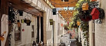 Hotty Toddy Hideaway - Modern Cottage!