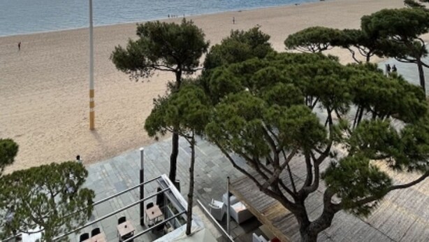 A beach with a row of trees and a building with outdoor seating.