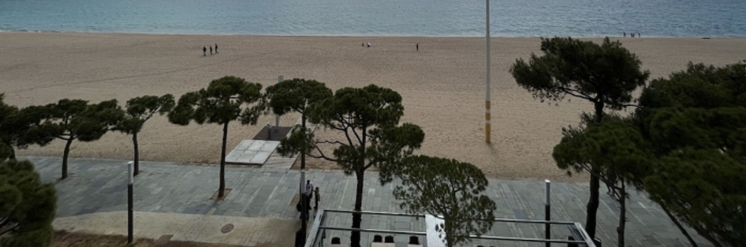 A beach with a paved walkway and trees.