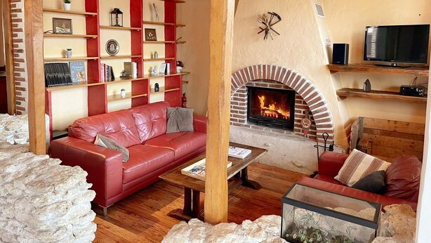 TV, fireplace - Cottage in Sologne with enclosed garden, pets allowed, parking and internet (Neung-sur-Beuvron)