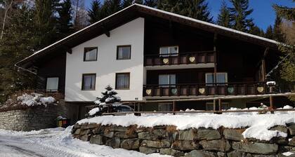 Pet-friendly Apartment in Bad Kleinkirchheim