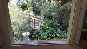 A window view of a house surrounded by dense foliage. - Centro Paulus (São Paulo)