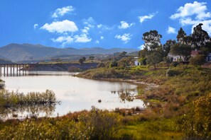Un entorno tranquilo junto al lago, con un puente, abundante vegetación y colinas a lo lejos.