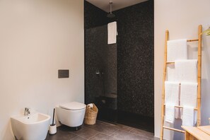 Regadera, secadora de cabello, bidet, toallas 