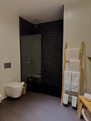 Regadera, secadora de cabello, bidet, toallas 