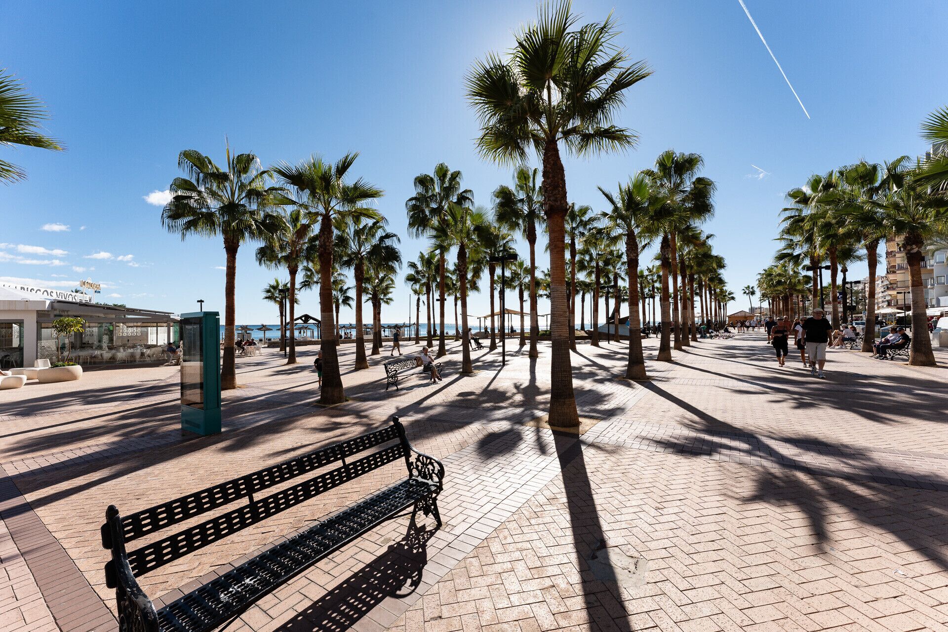 A paved promenade lined with palm trees, benches, and a building with outdoor seating.
