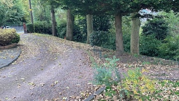 House | Property grounds