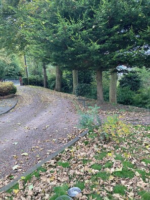 House | Property grounds