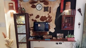 A room with a mounted TV, a wooden shelf with books and decorative items, a cowhide wall hanging, and a small potted plant.