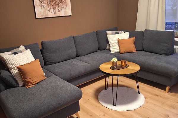 Älytelevisio, kirjoja