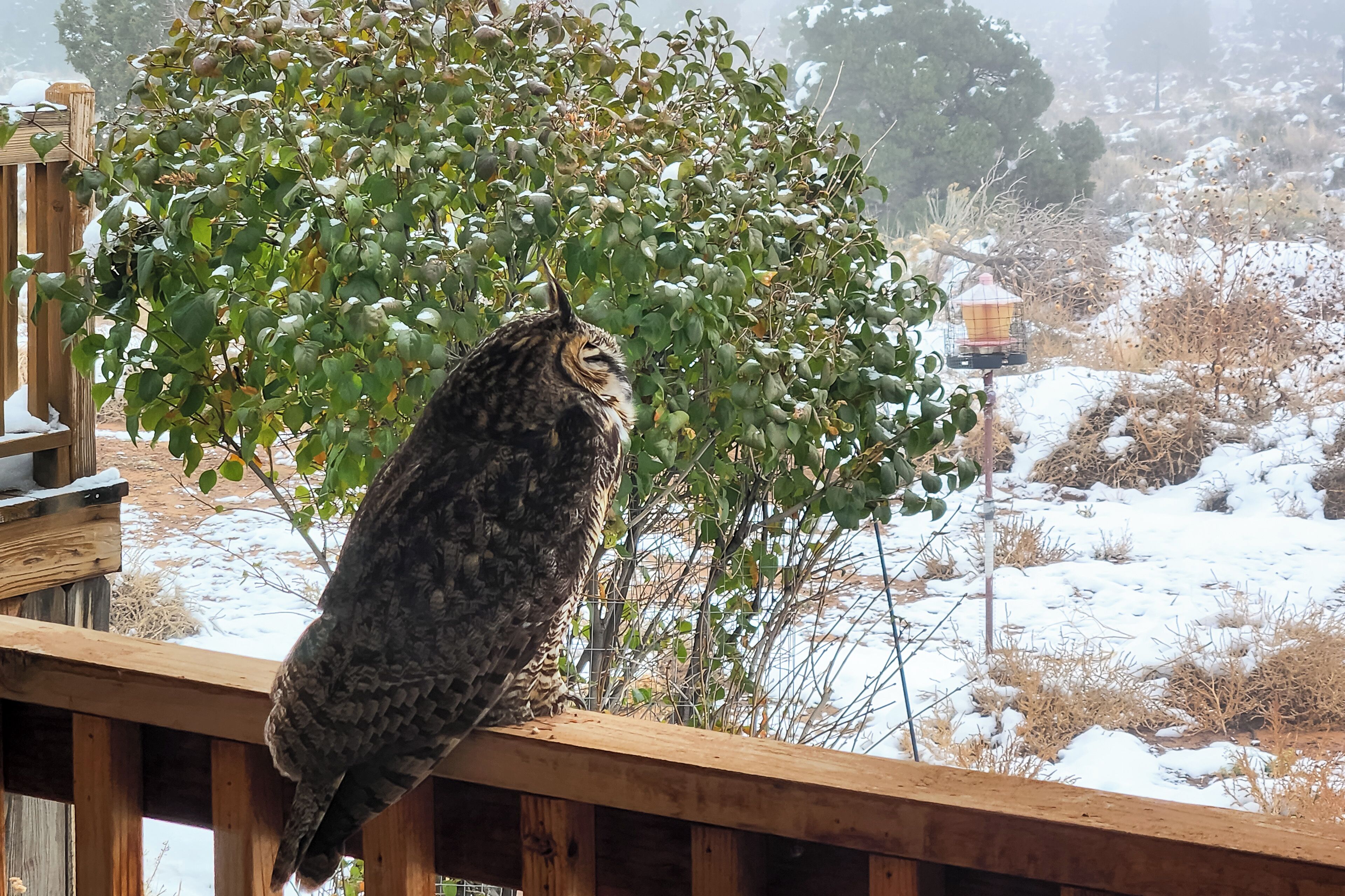 Huis (5 Bedrooms) | Interieur