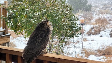 Huis (5 Bedrooms) | Interieur