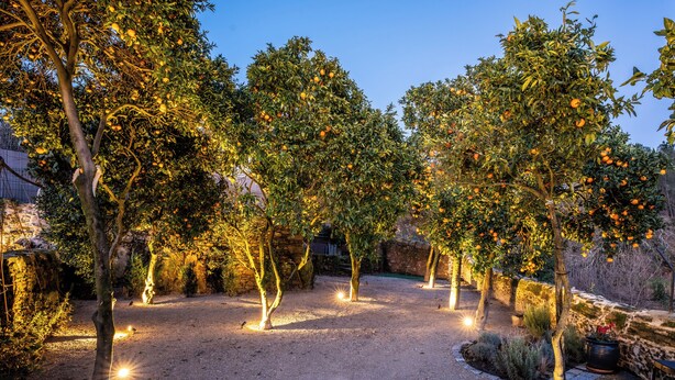 An outdoor garden area with trees bearing fruit, a gravel path, and stone walls. - Garden retreat near Porto (Porto)