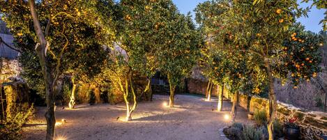 المنطقة المحيطة بالمنشأة