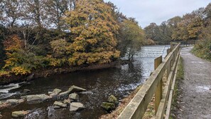 Apartamento | 1 dormitorio