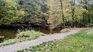 Apartamento | 1 dormitorio