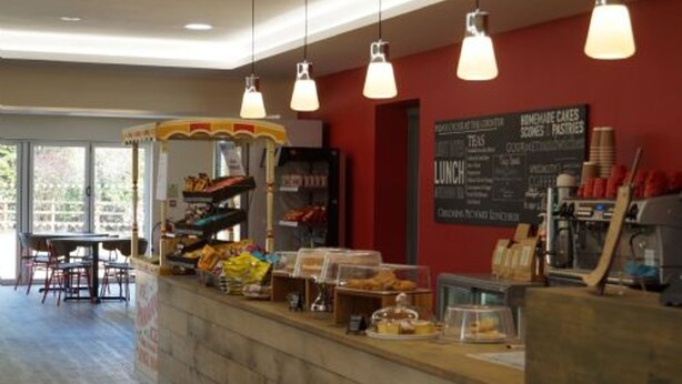 Un café avec un comptoir où sont exposées des pâtisseries et un tableau affichant le menu, avec une liste de boissons comme des thés et des gâteaux.