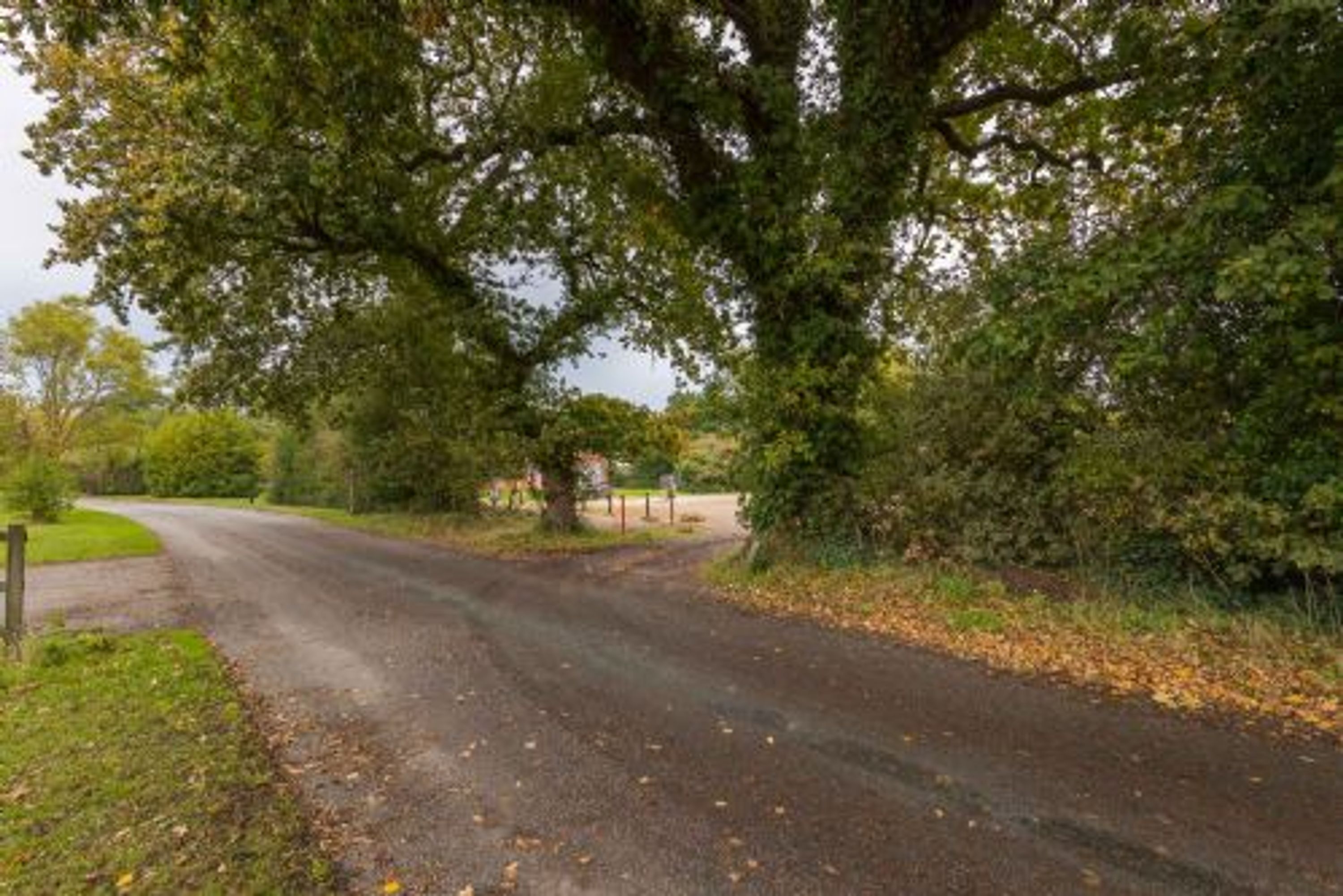 A rural road with trees on both sides.