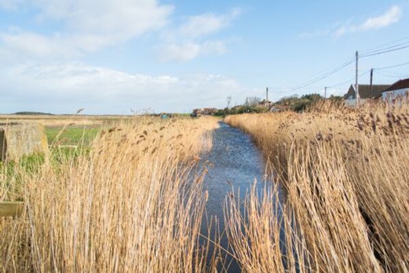 A narrow water channel flanked by tall, dry grass fields.