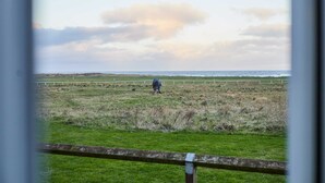A person walking in a grassy field with a fence in the foreground.