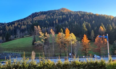 Cozy Apartment in Bad Kleinkirchheim