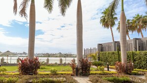 Un jardín ajardinado con palmeras y un sendero que conduce a un edificio.