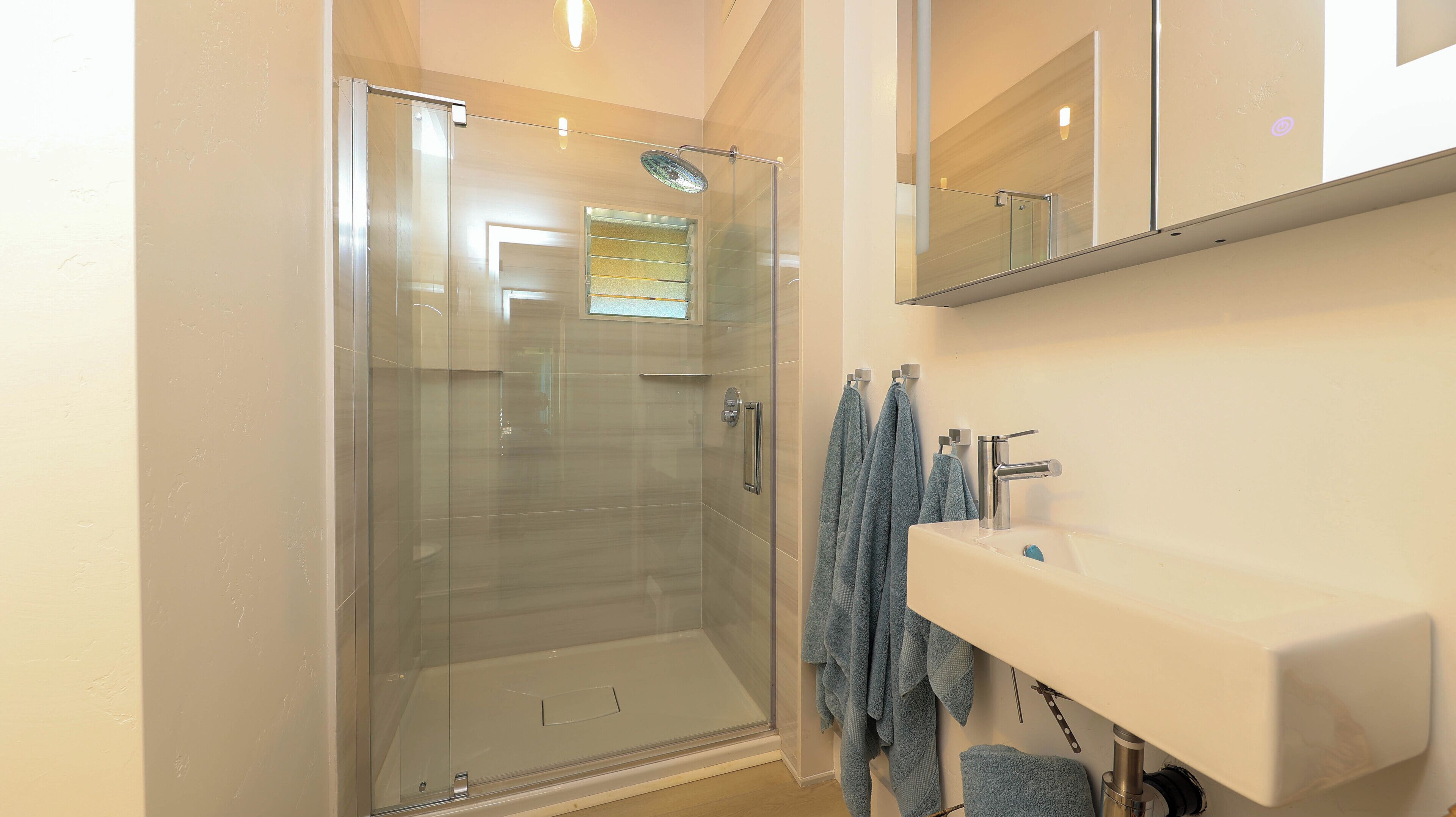 Shower, hair dryer, towels