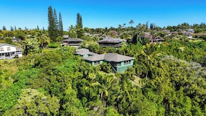 Un quartier résidentiel où les maisons sont entourées d’une végétation tropicale luxuriante.