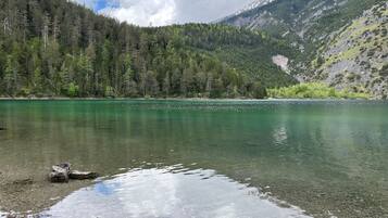 Apartment | Miscellaneous