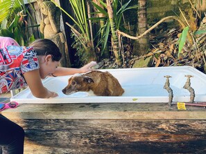 Área da propriedade