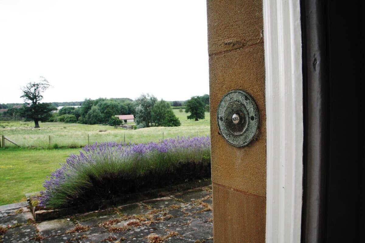 Une vue depuis une fenêtre, avec un pilier en pierre, un champ parsemé de fleurs violettes et un bâtiment situé au loin.