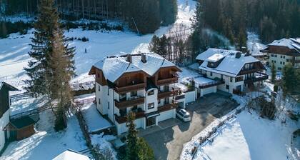 Apartment With Carinthian Mountain View
