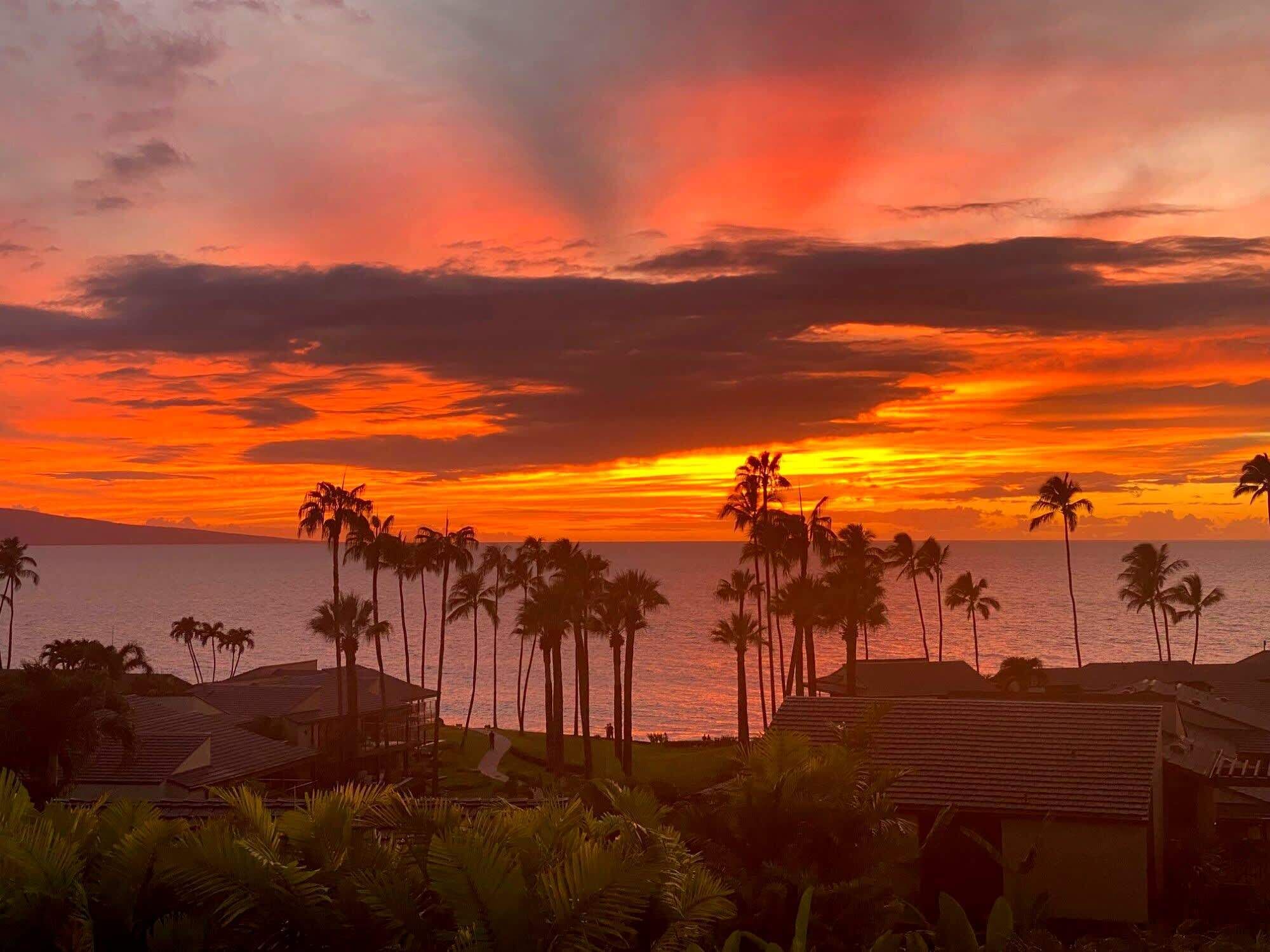 Vista de la puesta de sol sobre una playa con palmeras y edificios frente al mar.