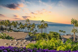 Miscellaneous - Wailea Elua condo - Ocean Views | Gym | Pickleball (Wailea-Makena)