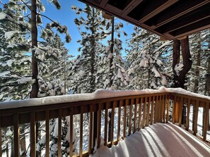 Property grounds - Cozy Cabin for 6, Near Canyon Lodge + Slopes! (Mammoth Lakes)