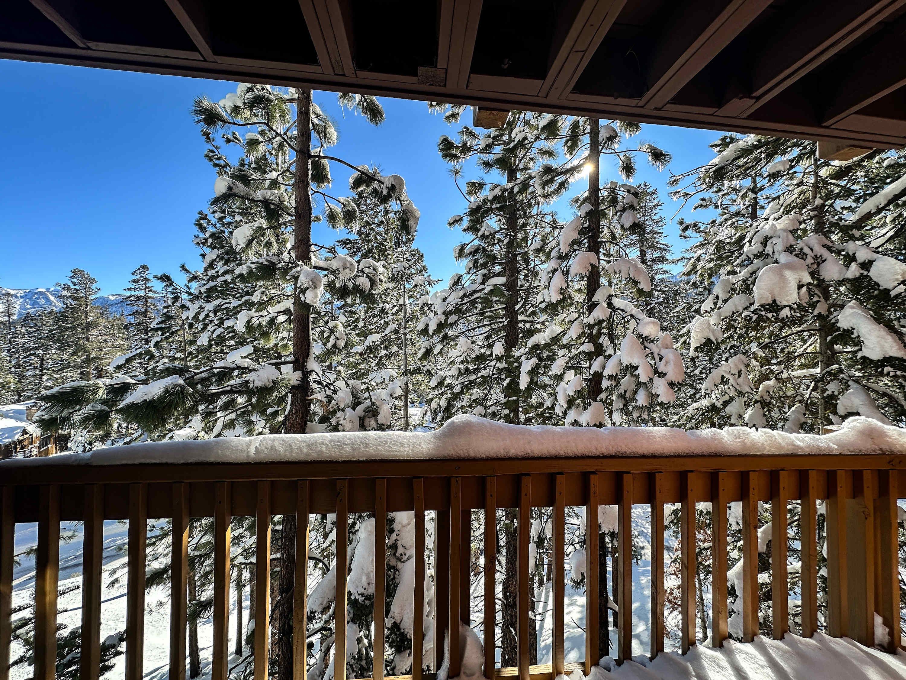 Une terrasse en bois, avec des arbres enneigés en arrière-plan.
