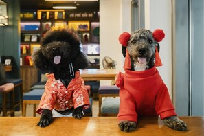 Children's activities - Wink Hai Phong Centre, Unscripted by Hyatt - 24 Hours stay (Hai Phong)