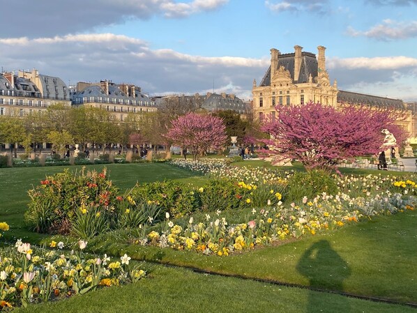 Property grounds - Paris in the Sky: very central, balcony, nice view, sun, air-conditioning, elevator (Paris)