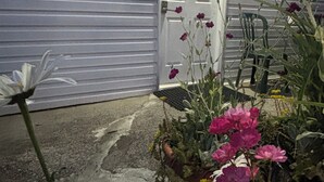 En entré till ett bostadshus med en vit dörr som är numrerad med 1, en krukväxt med rosa blommor och en vit blomma som ligger på marken.