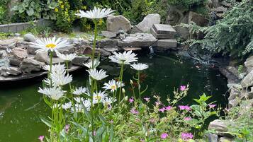 A garden with a pond, rocks, and various flowers.