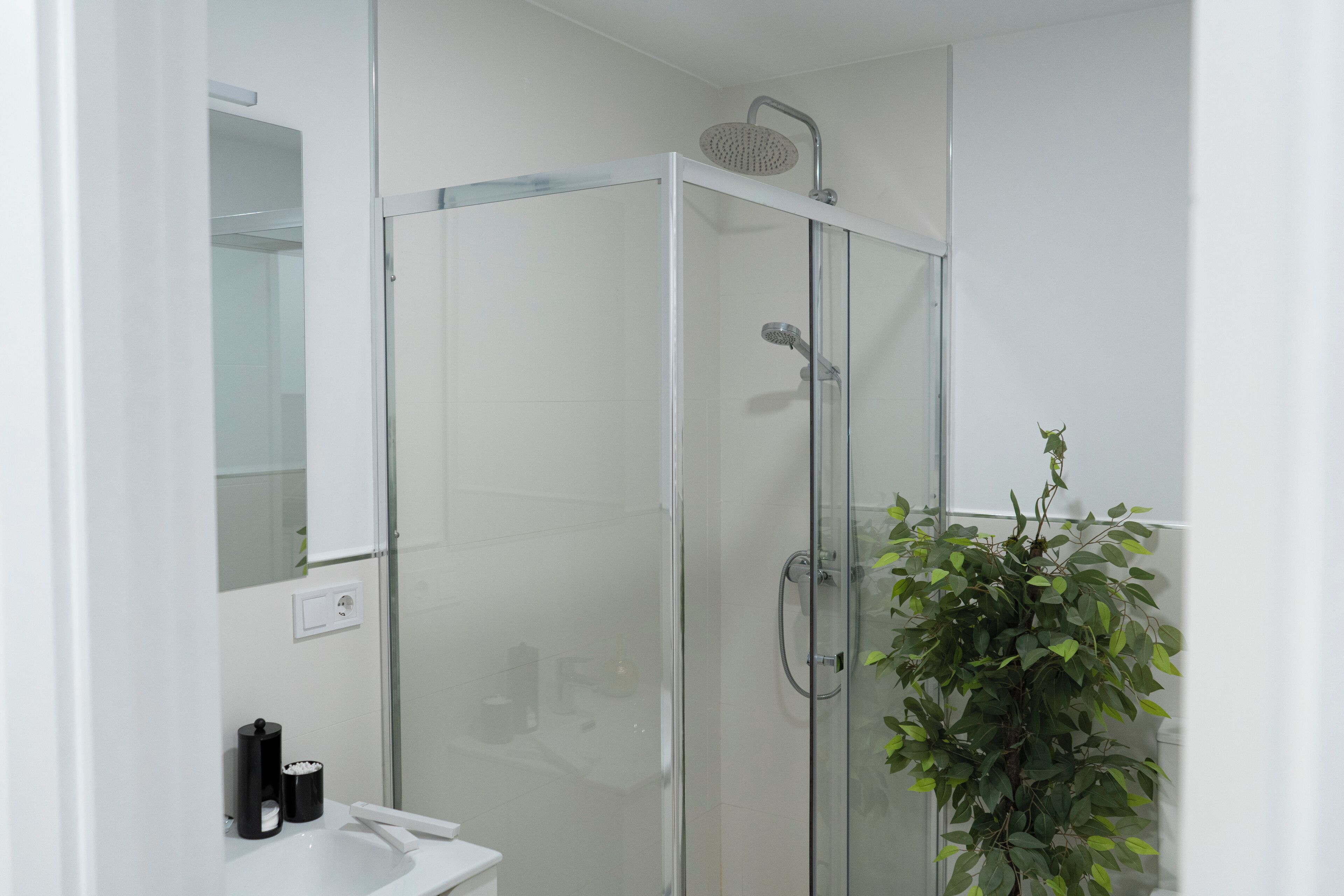 A modern bathroom with a glass-enclosed shower, a white sink, and a potted plant.