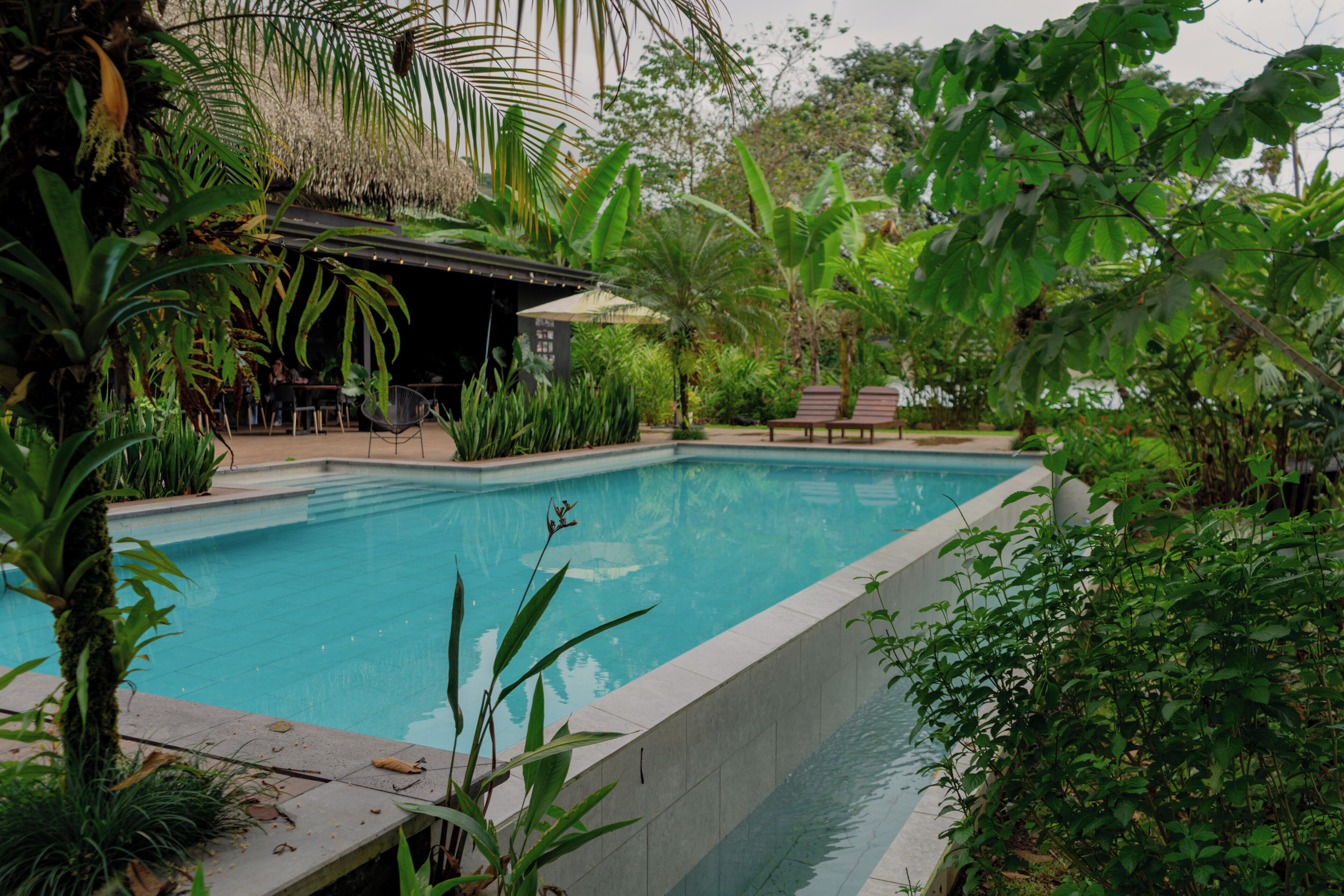 حمّام سباحة خارجي، مظلات على حمّام السباحة