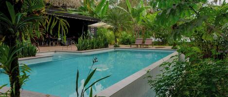 Outdoor pool, pool umbrellas