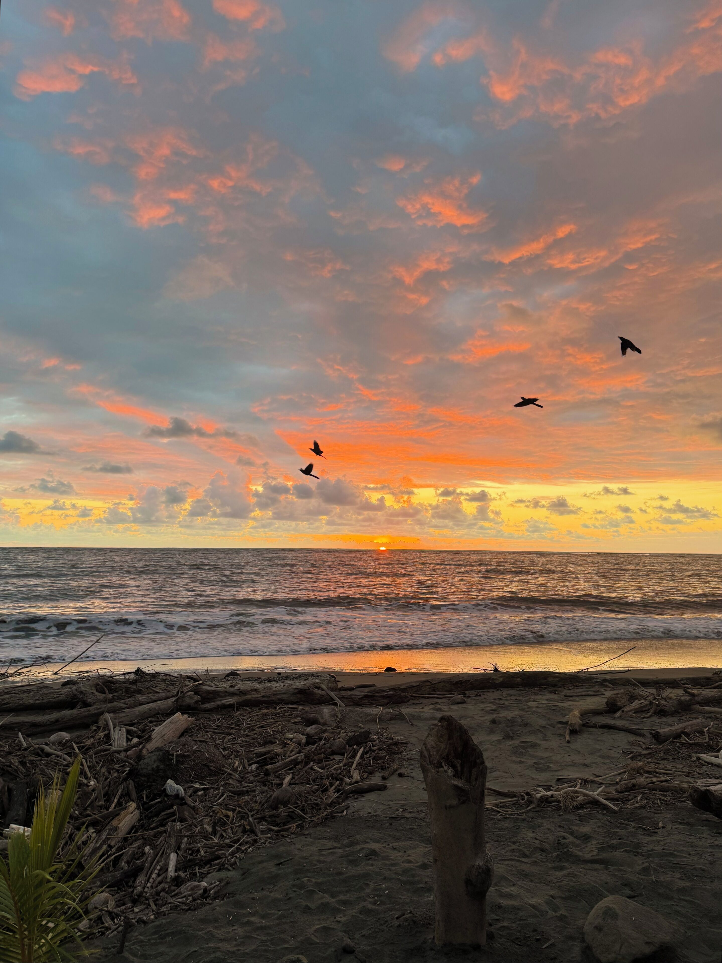 A beach with a sunset, waves, and birds flying.