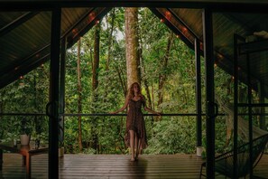 Premium Cabin, River View | View from room