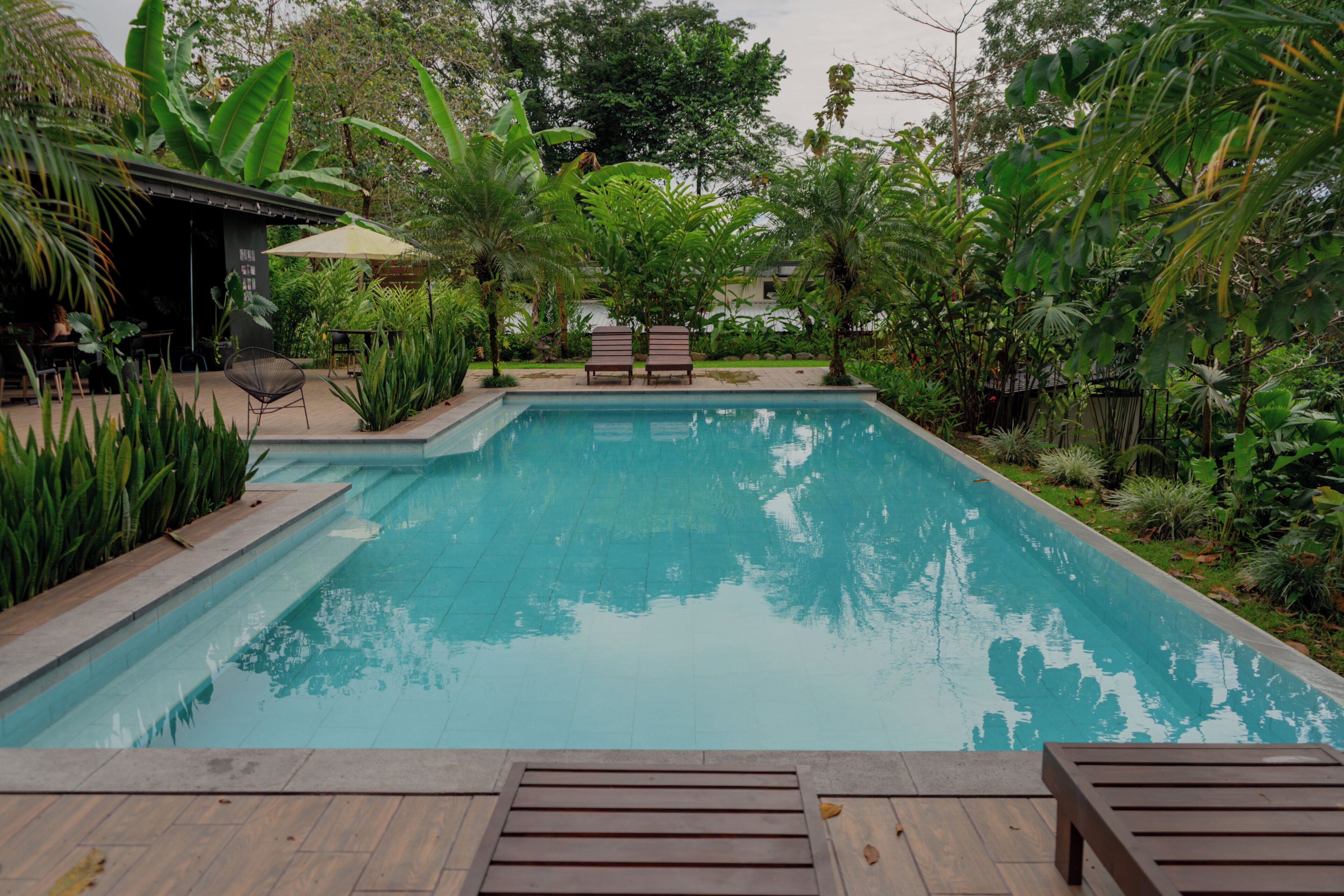 Una piscina al aire libre, sombrillas