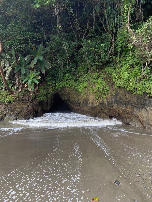 Una playa con una entrada rocosa en forma de túnel, rodeada de vegetación exuberante.