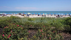 Ein Strand mit Reihen von Sonnenschirmen und Liegestühlen, ein sandiger Uferstreifen und ein klarer Himmel.