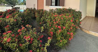 House in Guarajuba, Best Beach, North Coast of Bahia, Gated Community, Oceanfront Azul